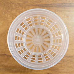 Orchid pot (7 Inches (Pack Of 10))