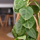 Blog 4
