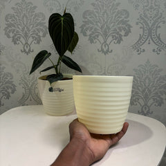 Little jungle Decora 5 Planters(Pack of 4) With out Holes ..(Biege)
