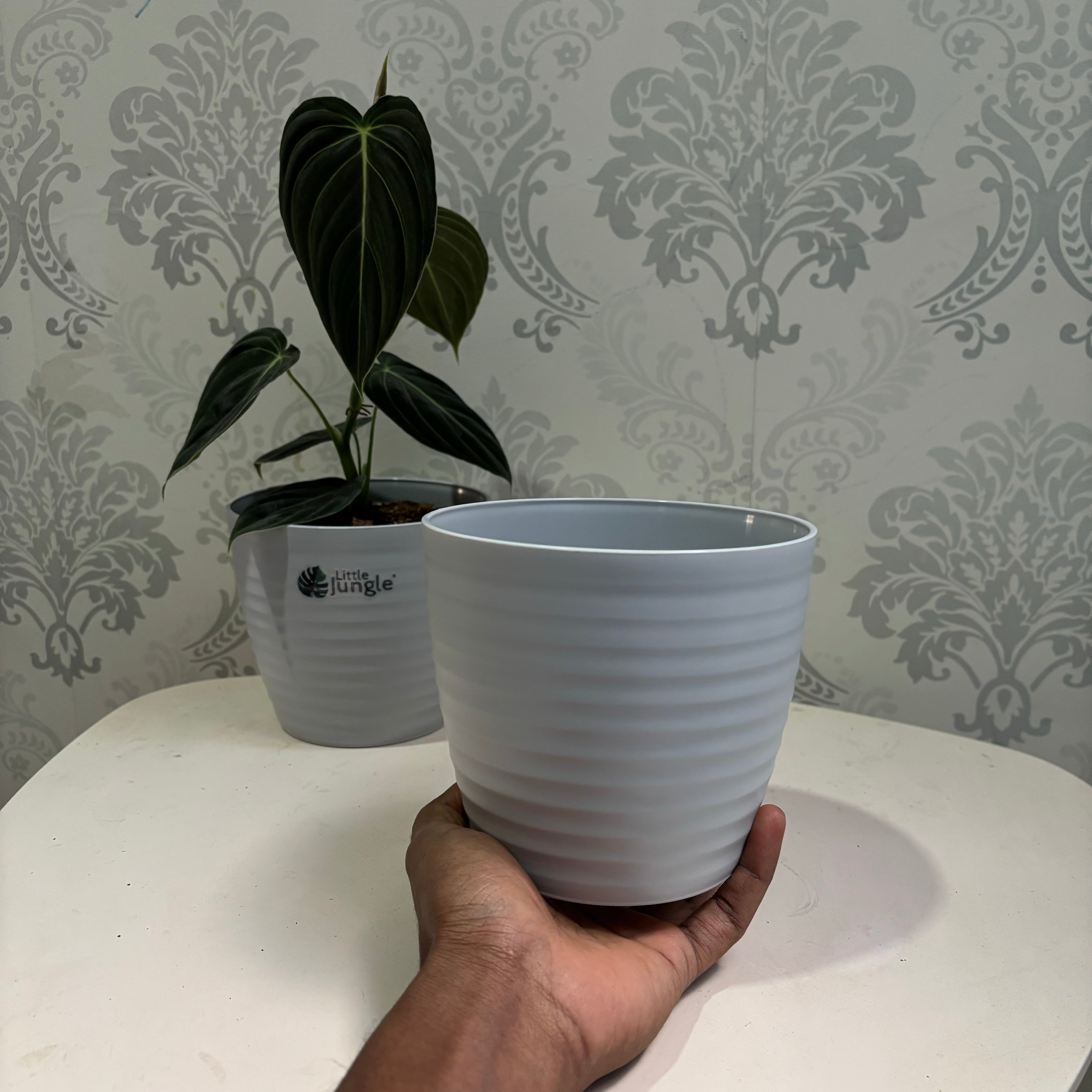 Little jungle Decora 5 Planters(Pack of 4) With out Holes ..(Grey)
