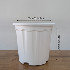 Pro Nursery Pot UV Resistant "White"