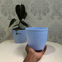 Little jungle Decora Planters(Pack of 4) With out Holes ..