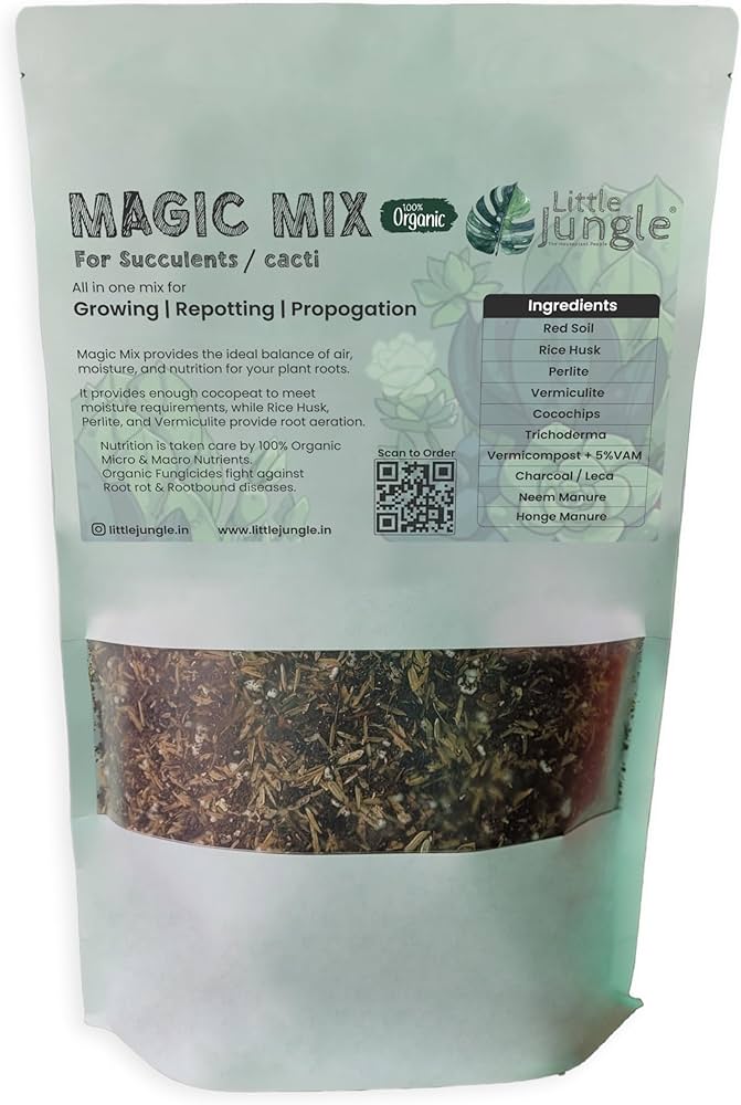 Magic Mix (Sansverias & ZZ)