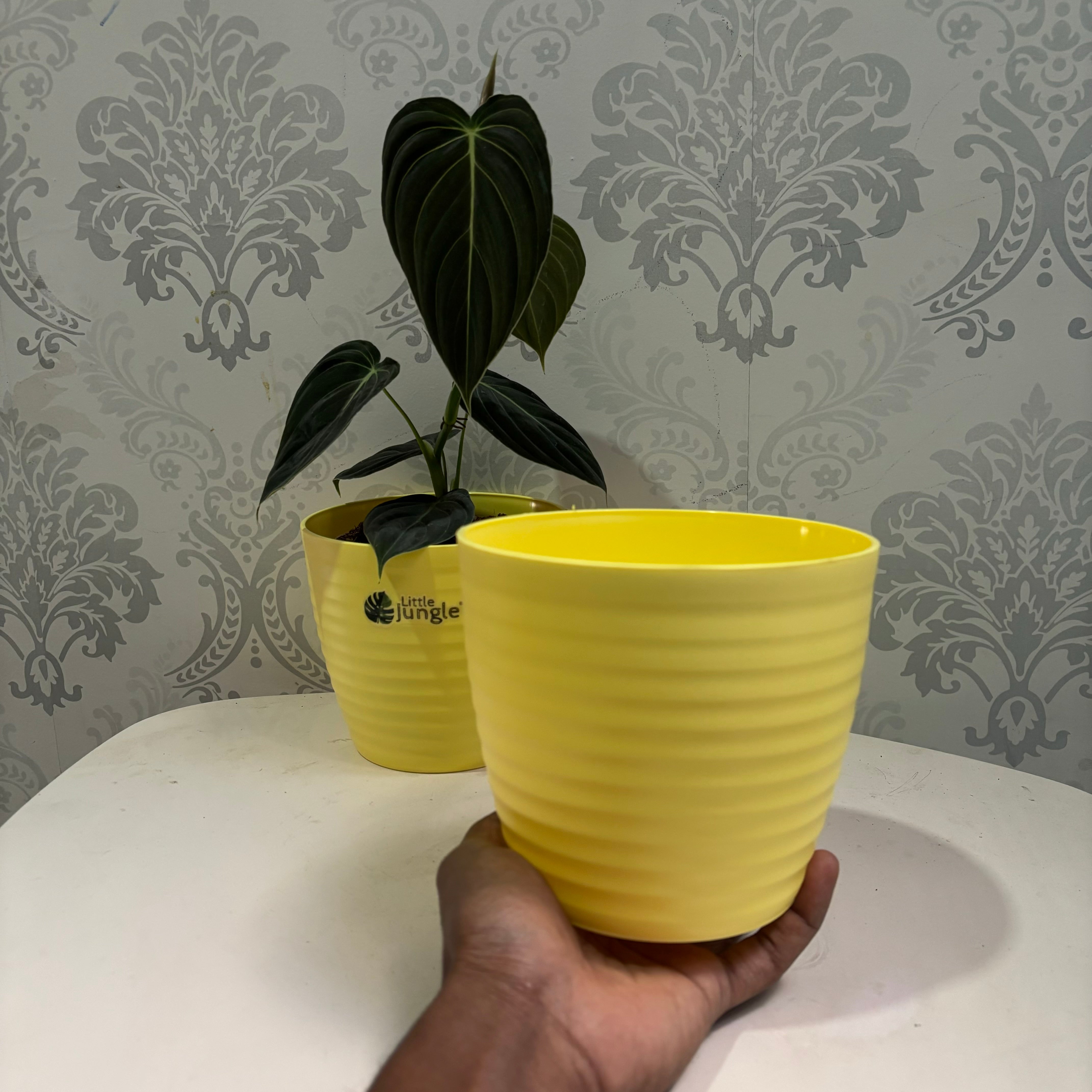 Little jungle Decora 5 Planters(Pack of 4) With out Holes ..(yellow)