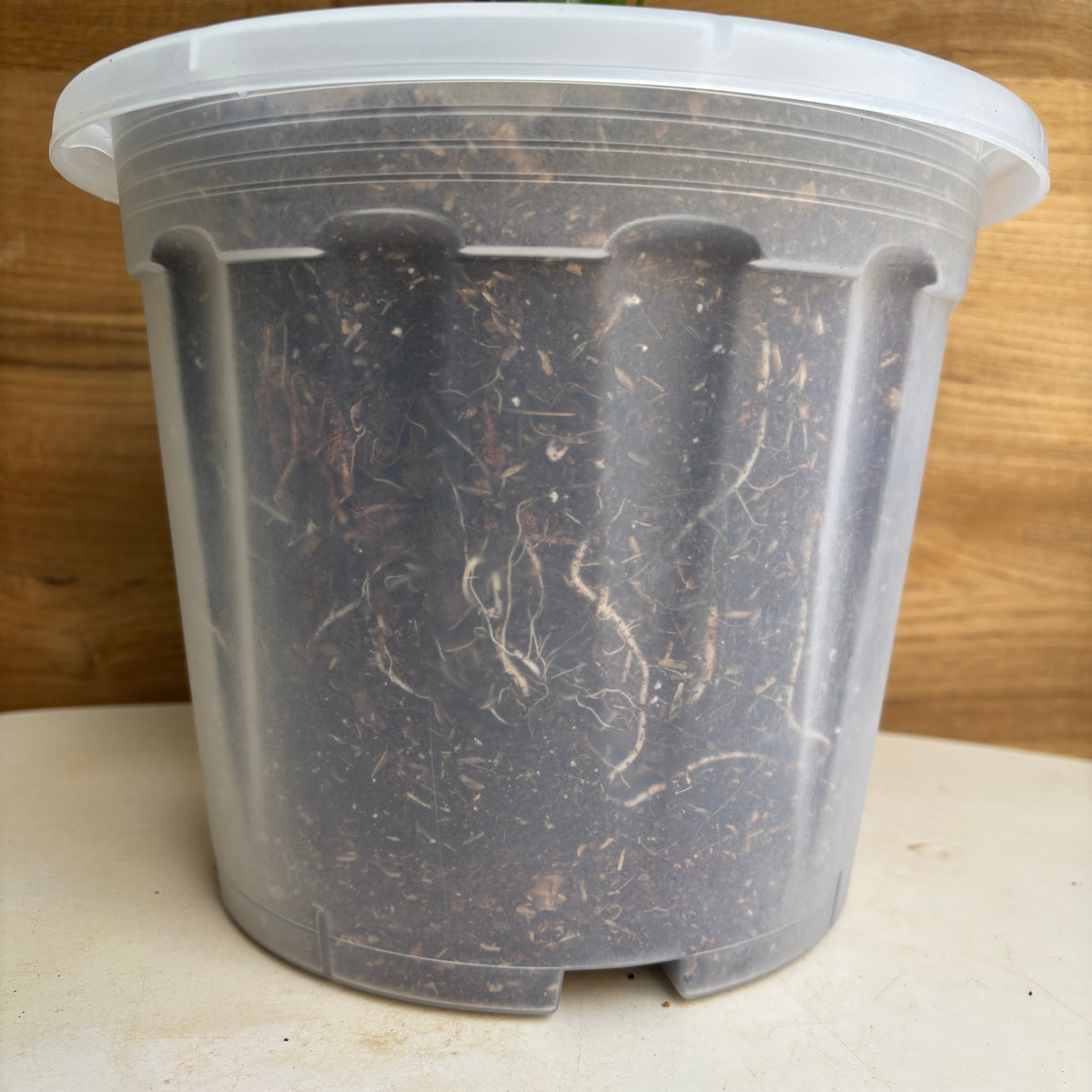 10” (pack of 4) Clear Transperant Nursery Pots For Growing ,Repotting , Water And Root Monitoring
