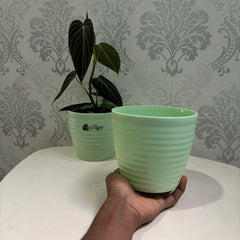 Little jungle Decora 5 Planters(Pack of 4) With out Holes ..(Green)
