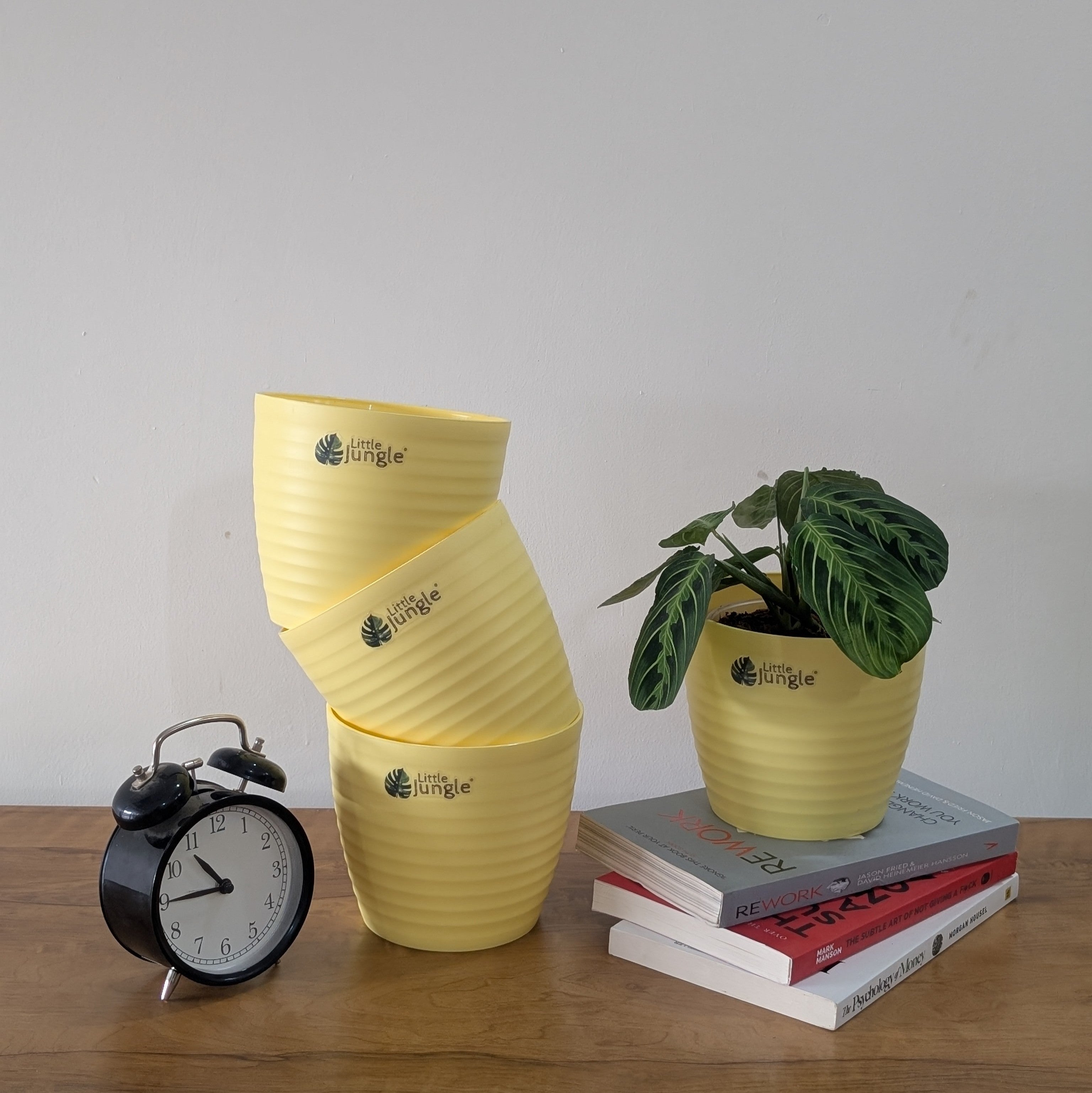 Decor 5 (pack of 4),