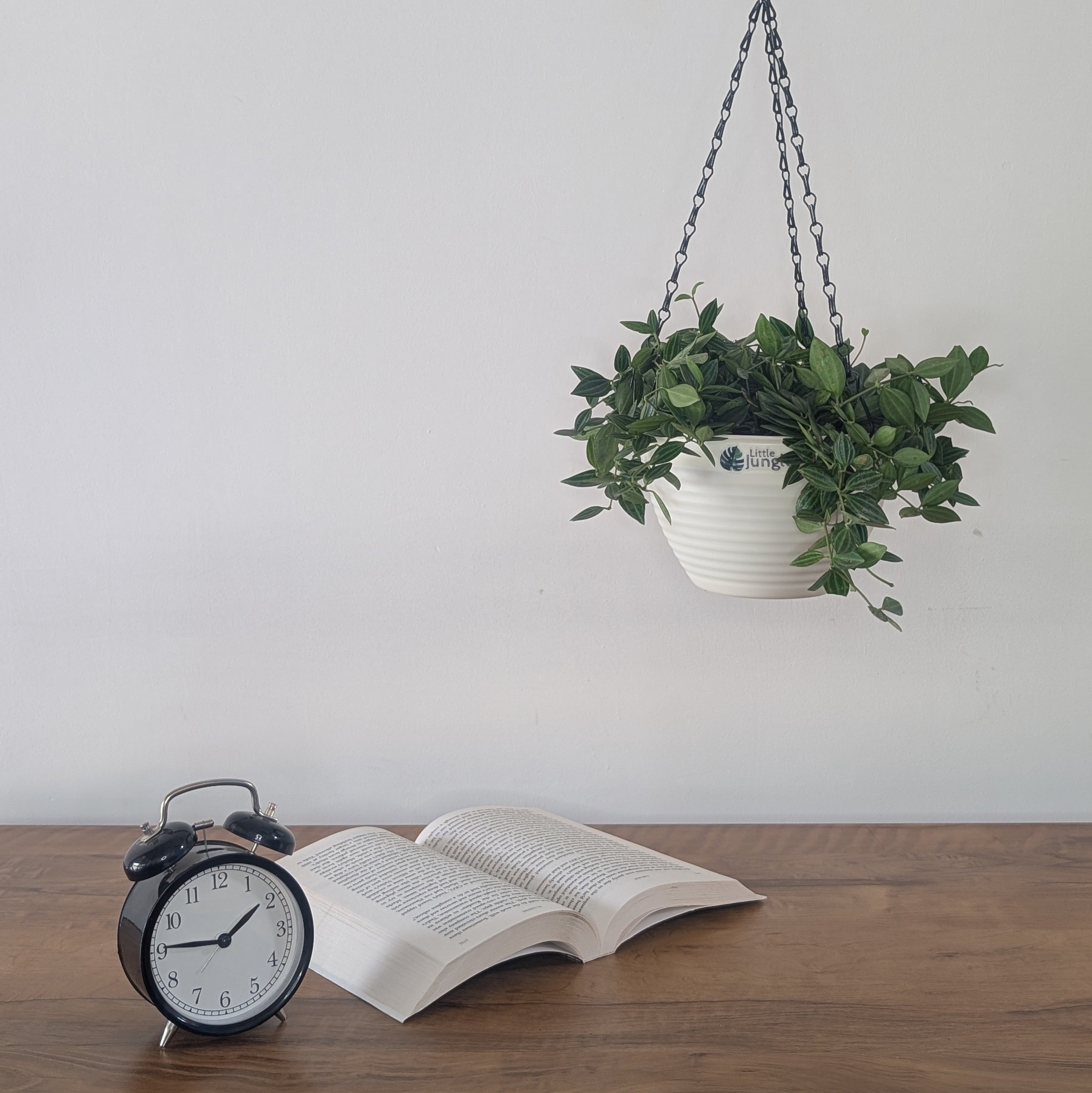 Hanging 7 (Pack of 4)
