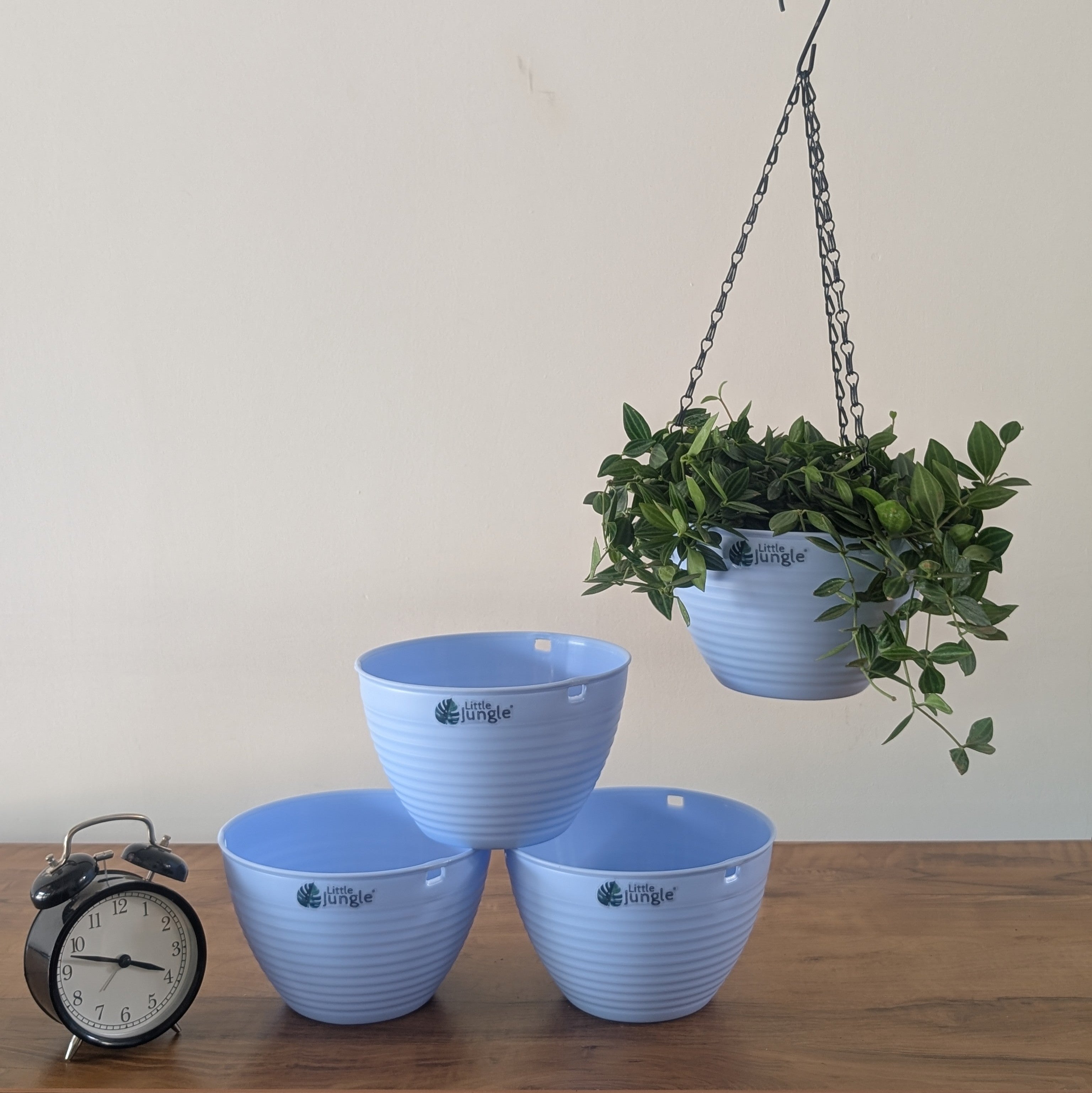 Hanging 7 (Pack of 4)