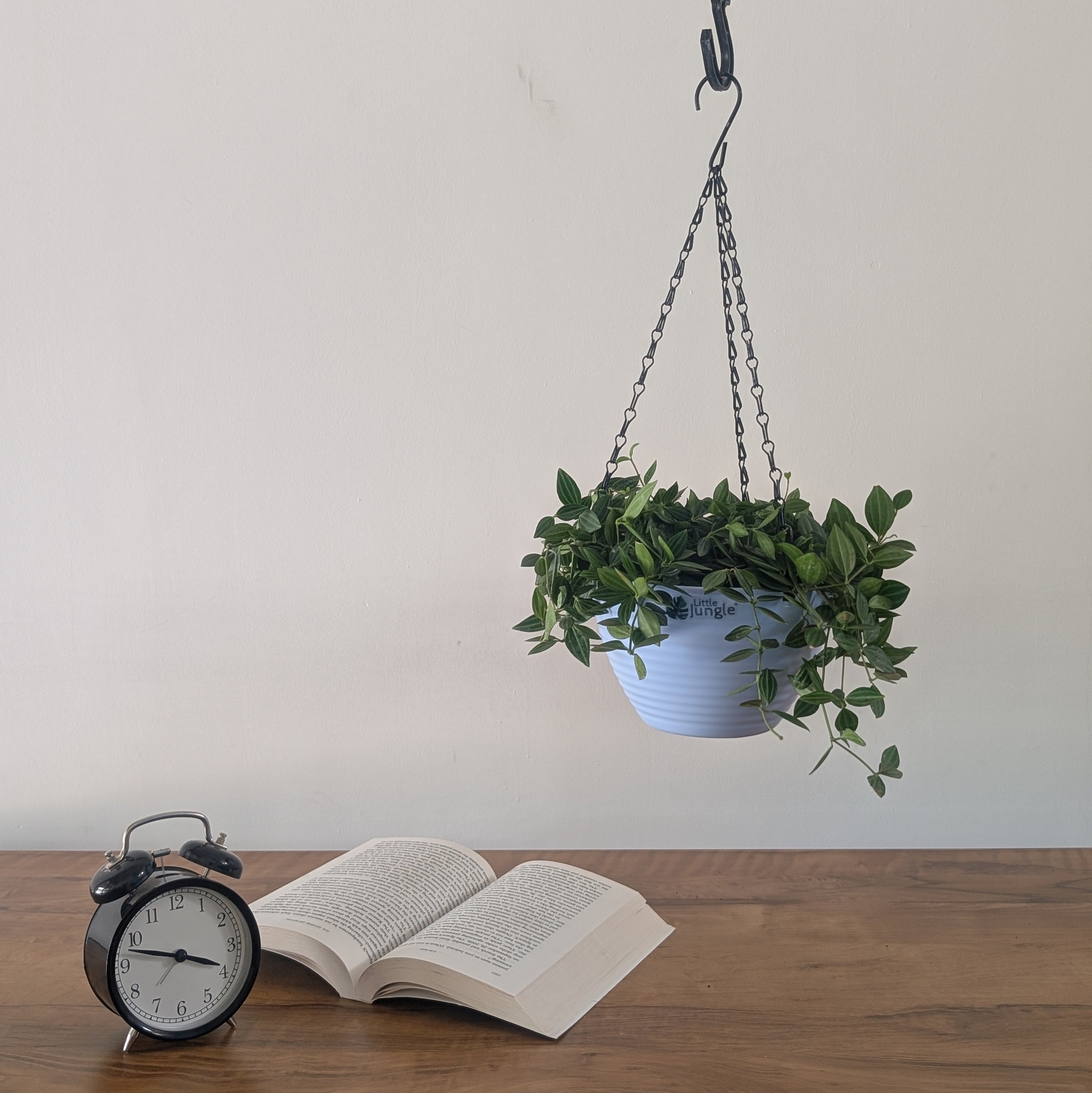 Hanging 7 (Pack of 4)