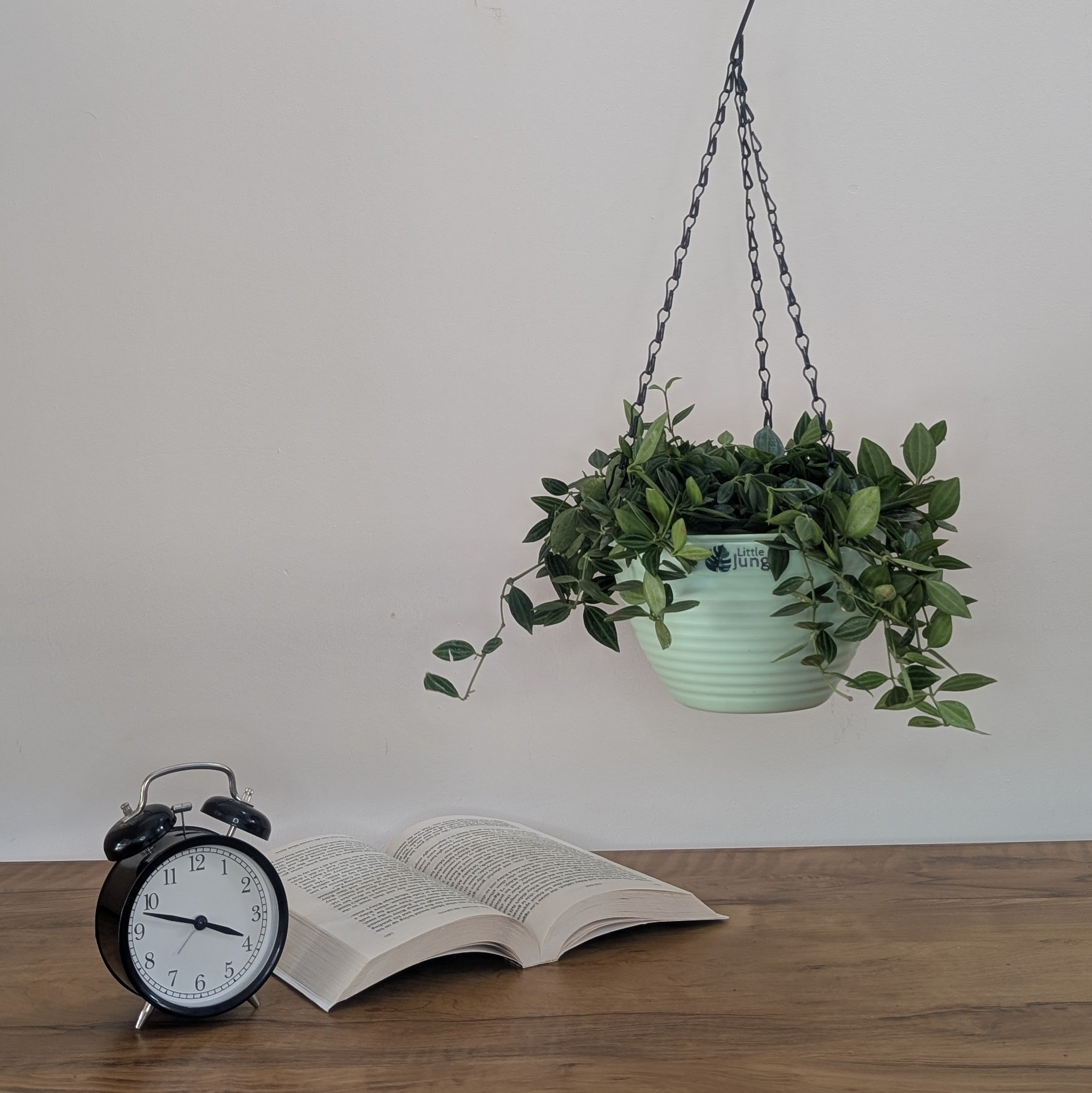 Hanging 7 (Pack of 4)