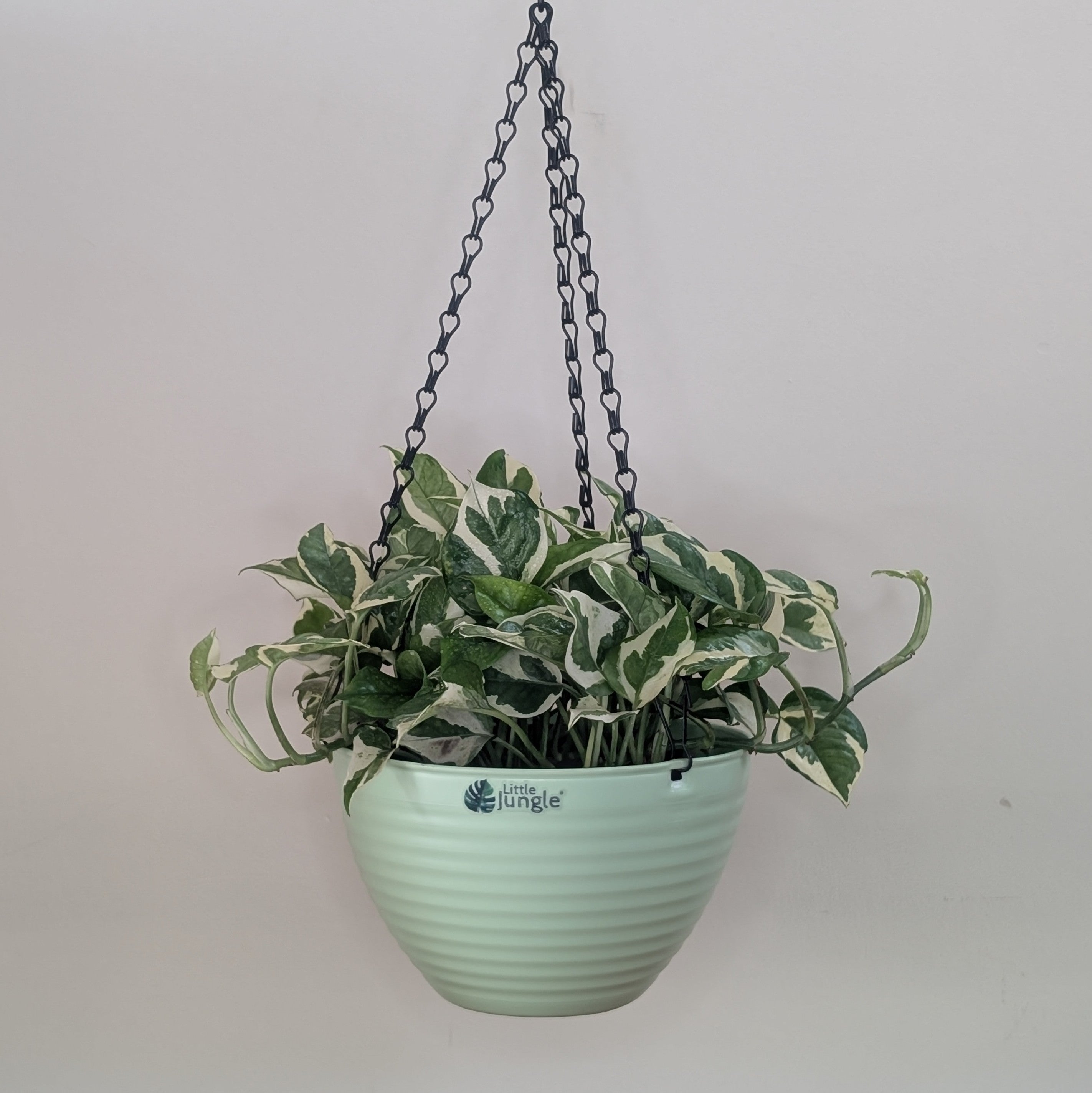 Hanging 9 (Pack of 4)