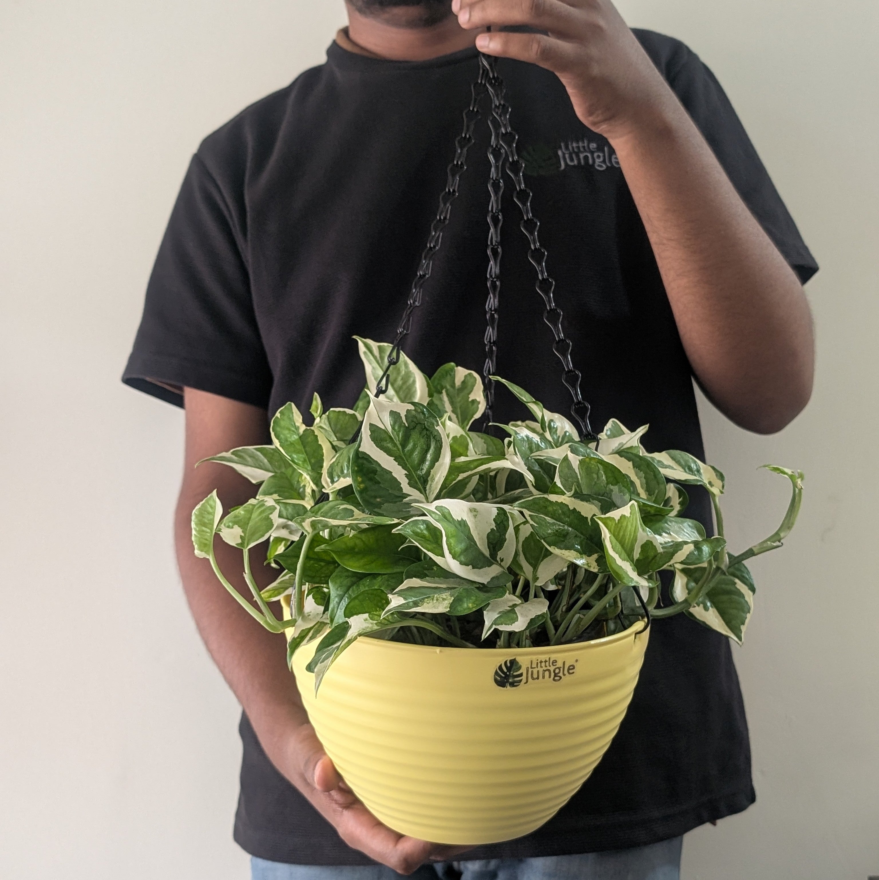 Hanging 9 (Pack of 4)