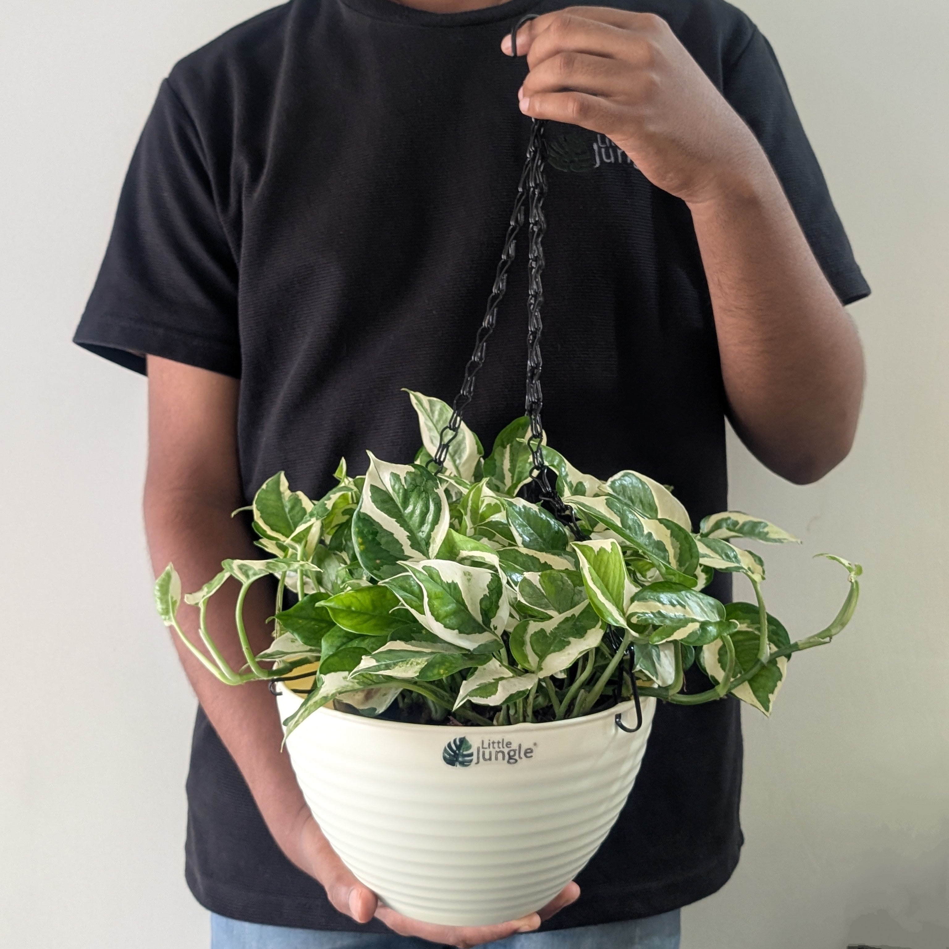 Hanging 9 (Pack of 4)