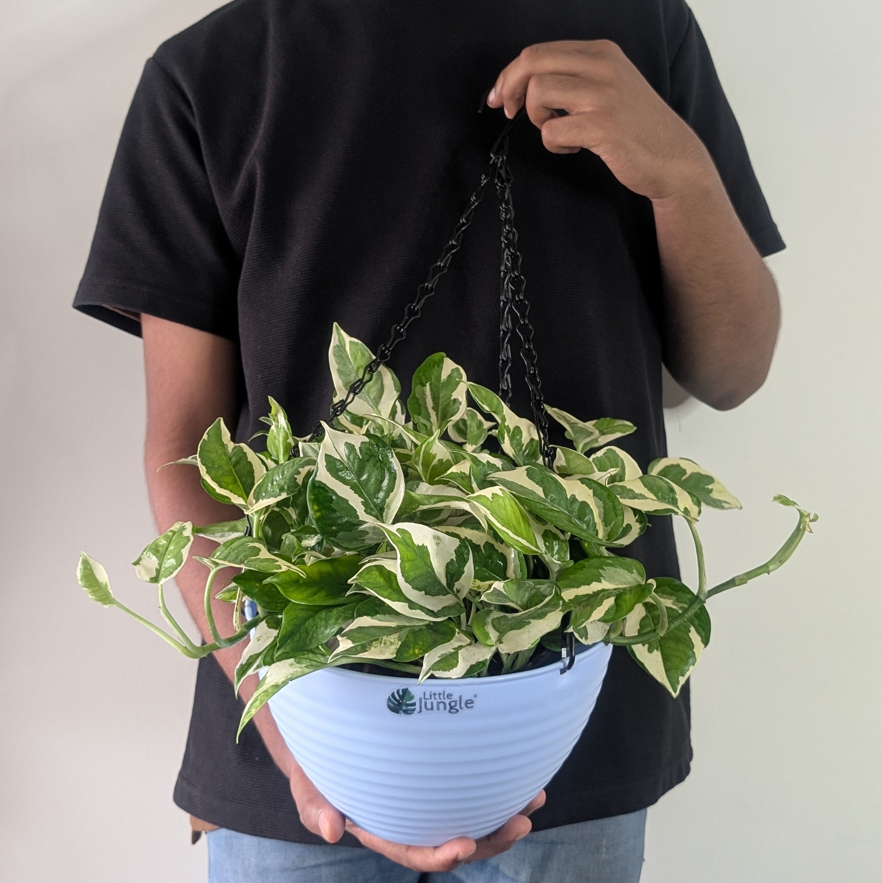 Hanging 9 (Pack of 4)