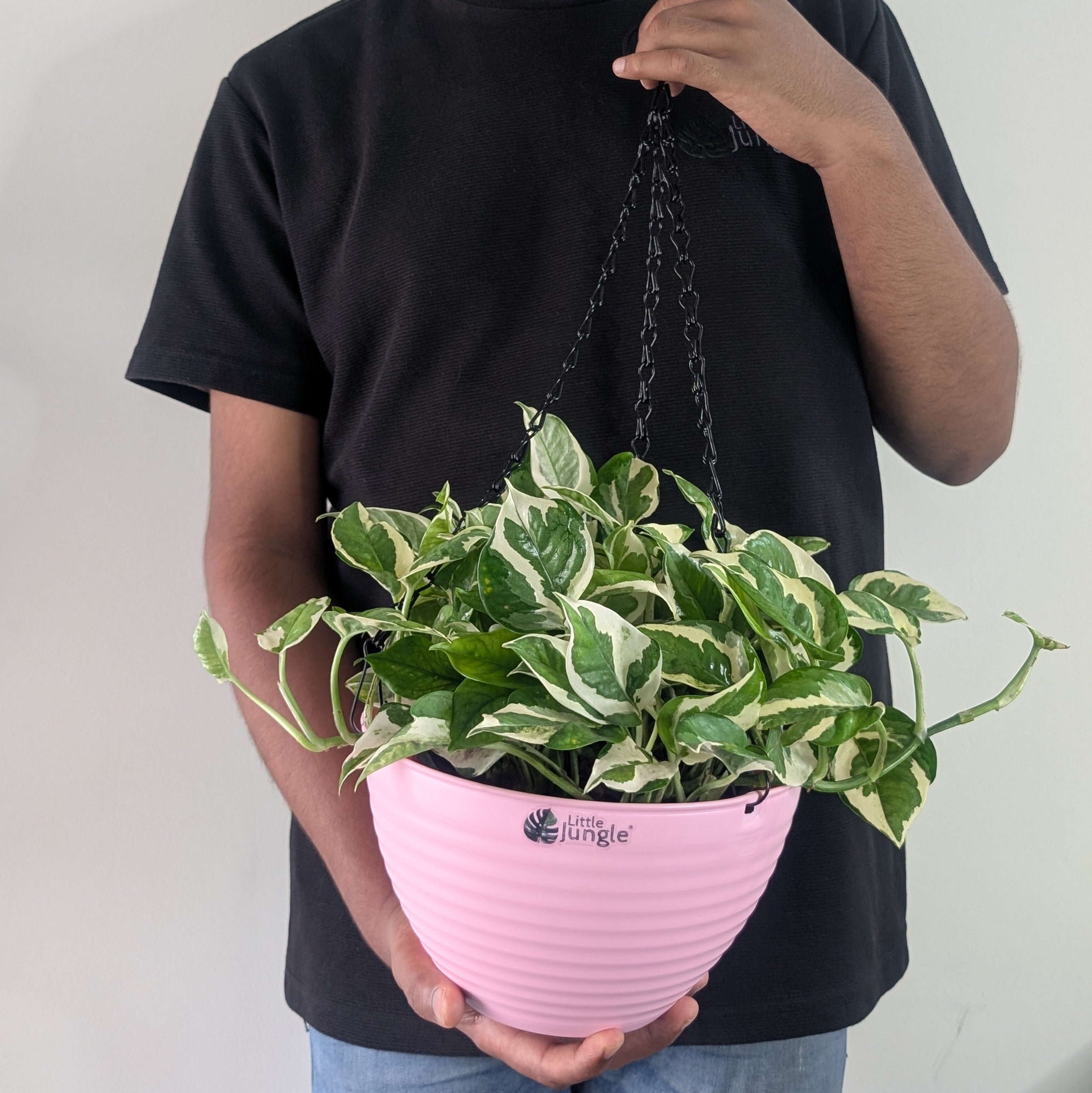 Hanging 9 (Pack of 4)