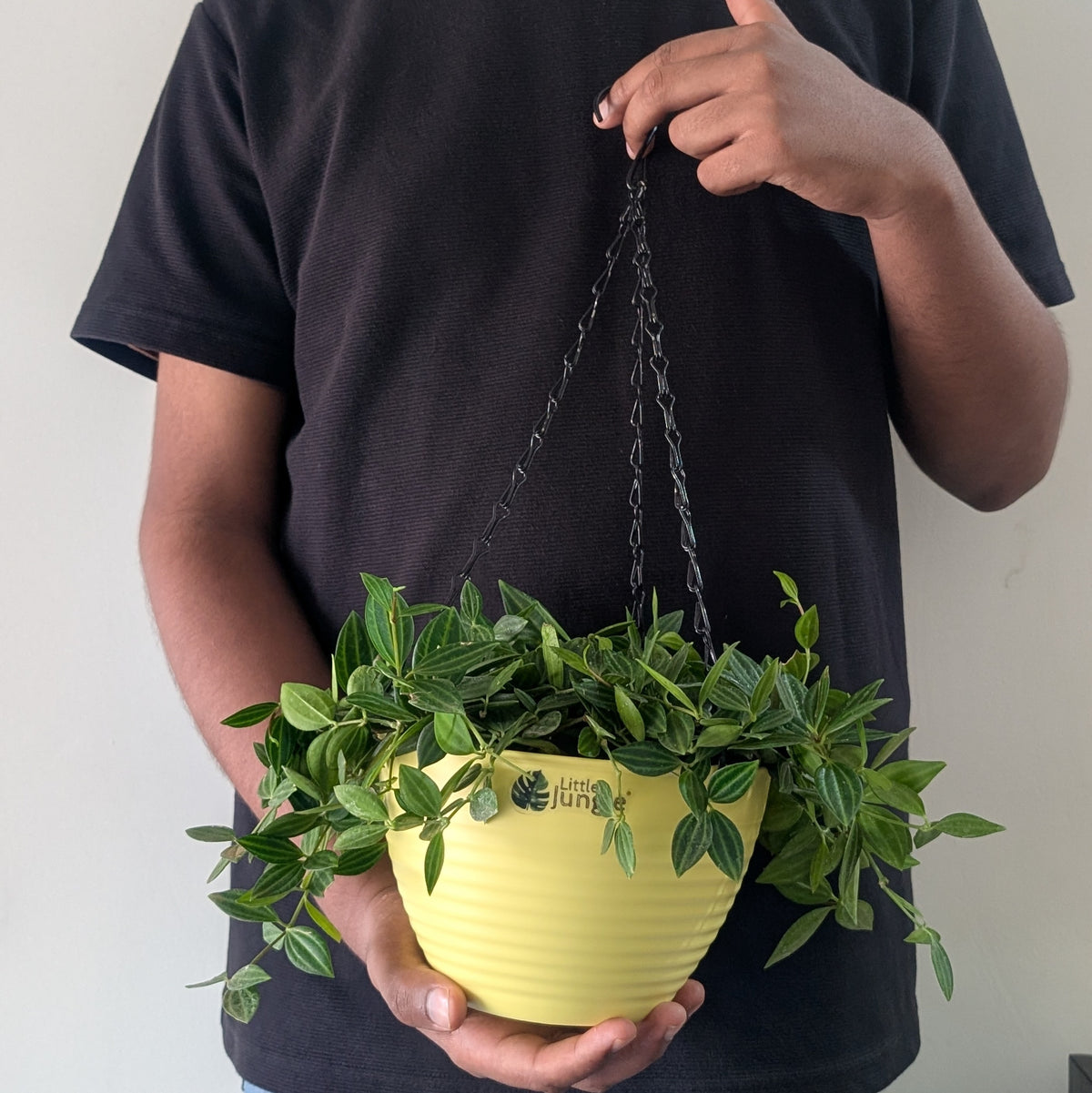 Little jungle Decora Planters(Pack of 4) With out Holes ..