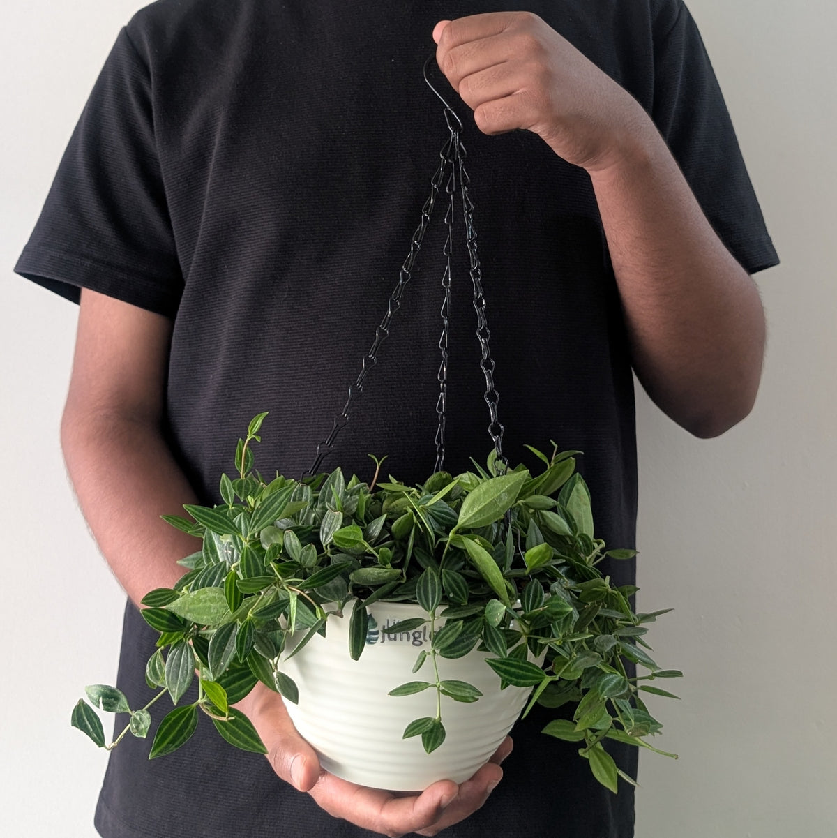 Little jungle Decora Planters(Pack of 4) With out Holes ..