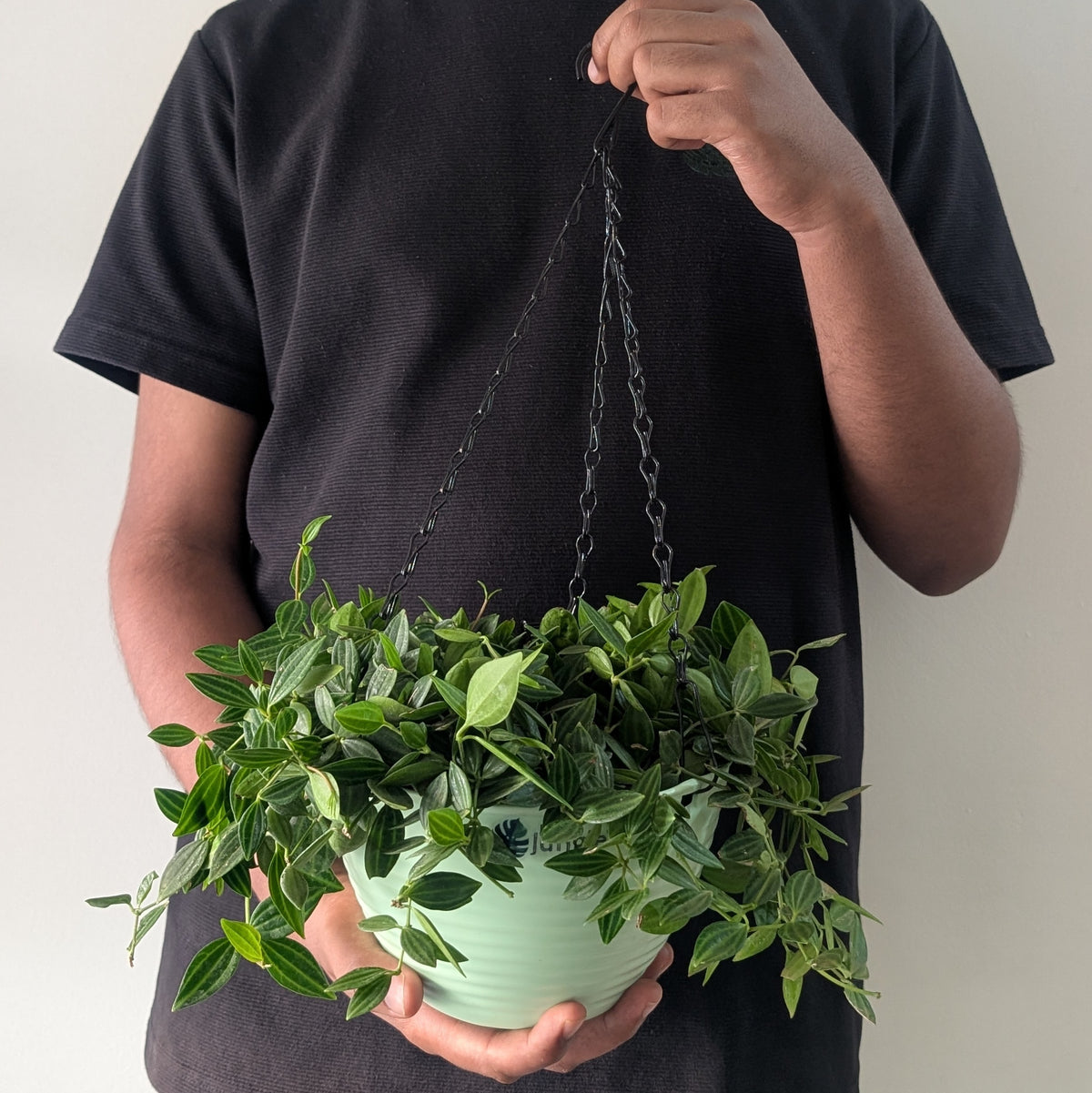 Littlejungle Decor Planters (Pack of 4) With out holes