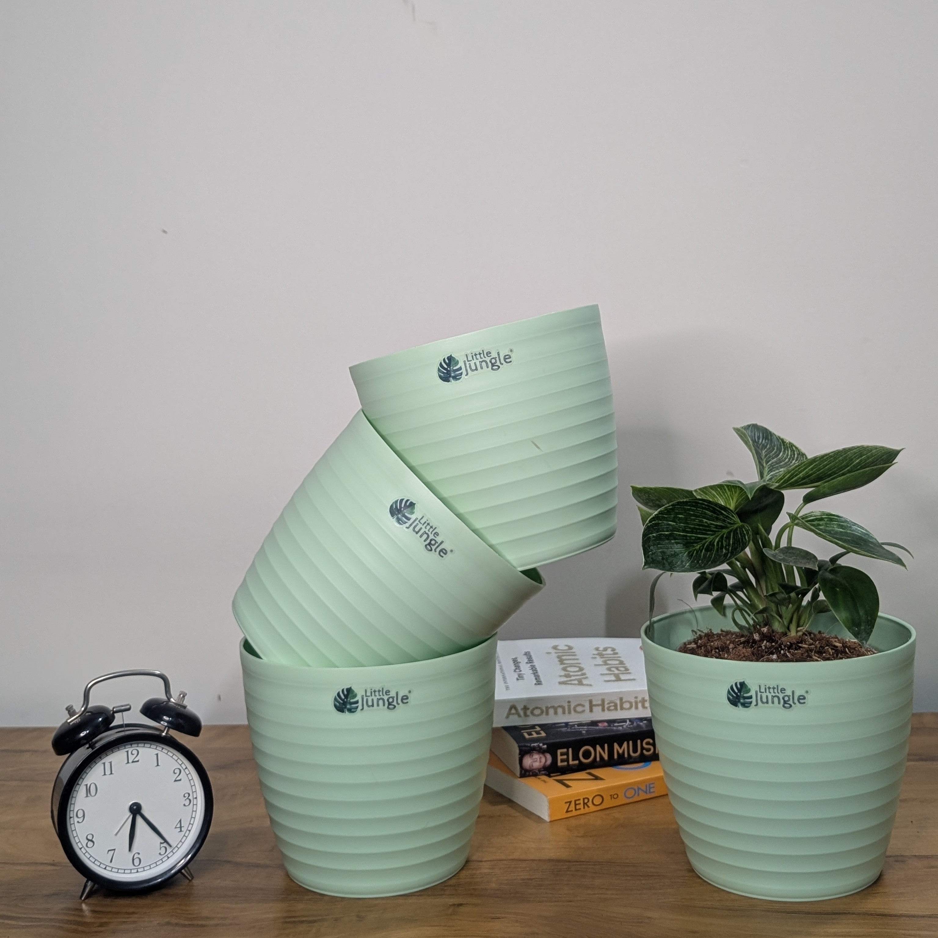 Decor 7 (Pack of 4)