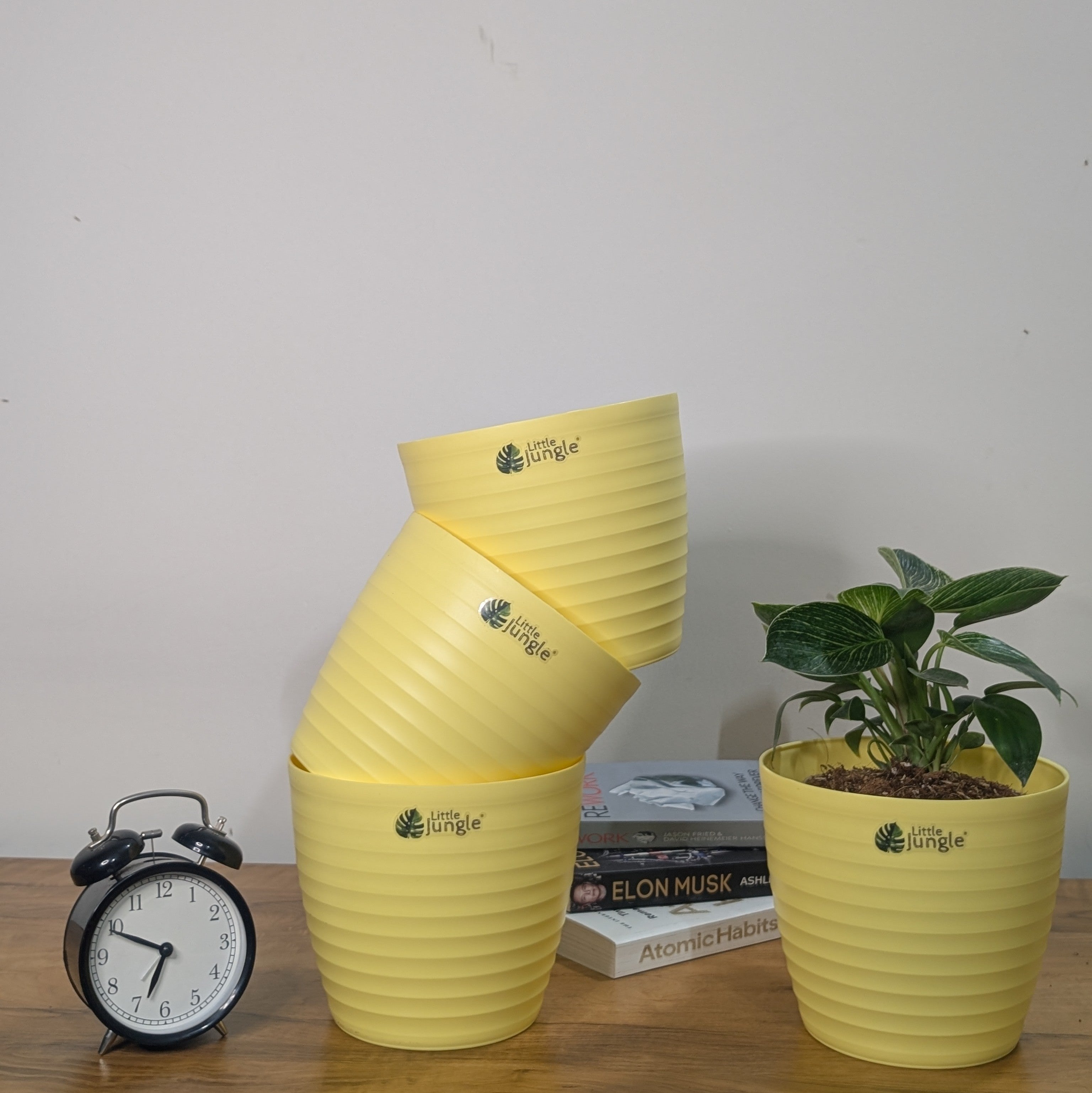 Decor 7 (Pack of 4)