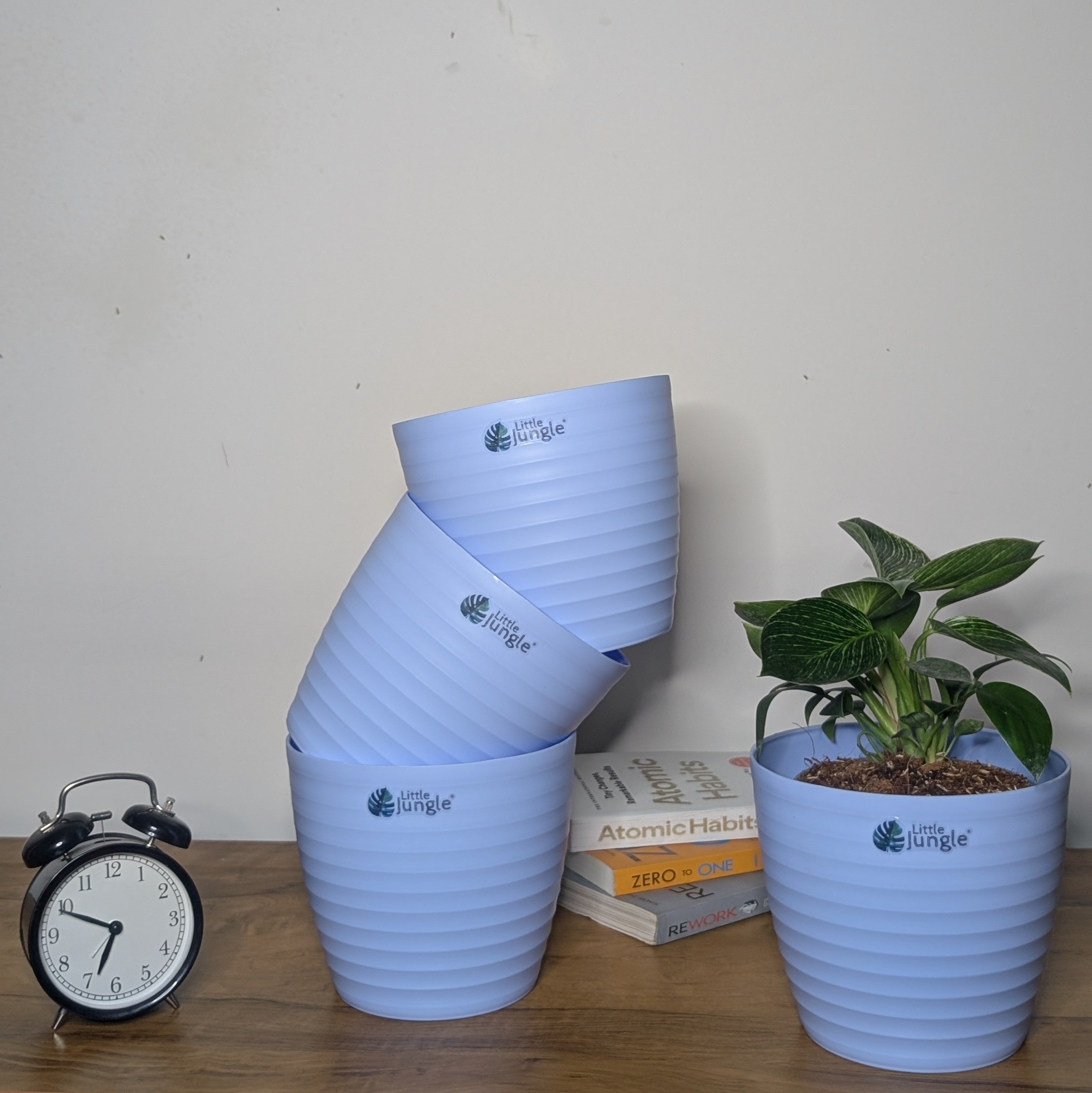 Decor 7 (Pack of 4)
