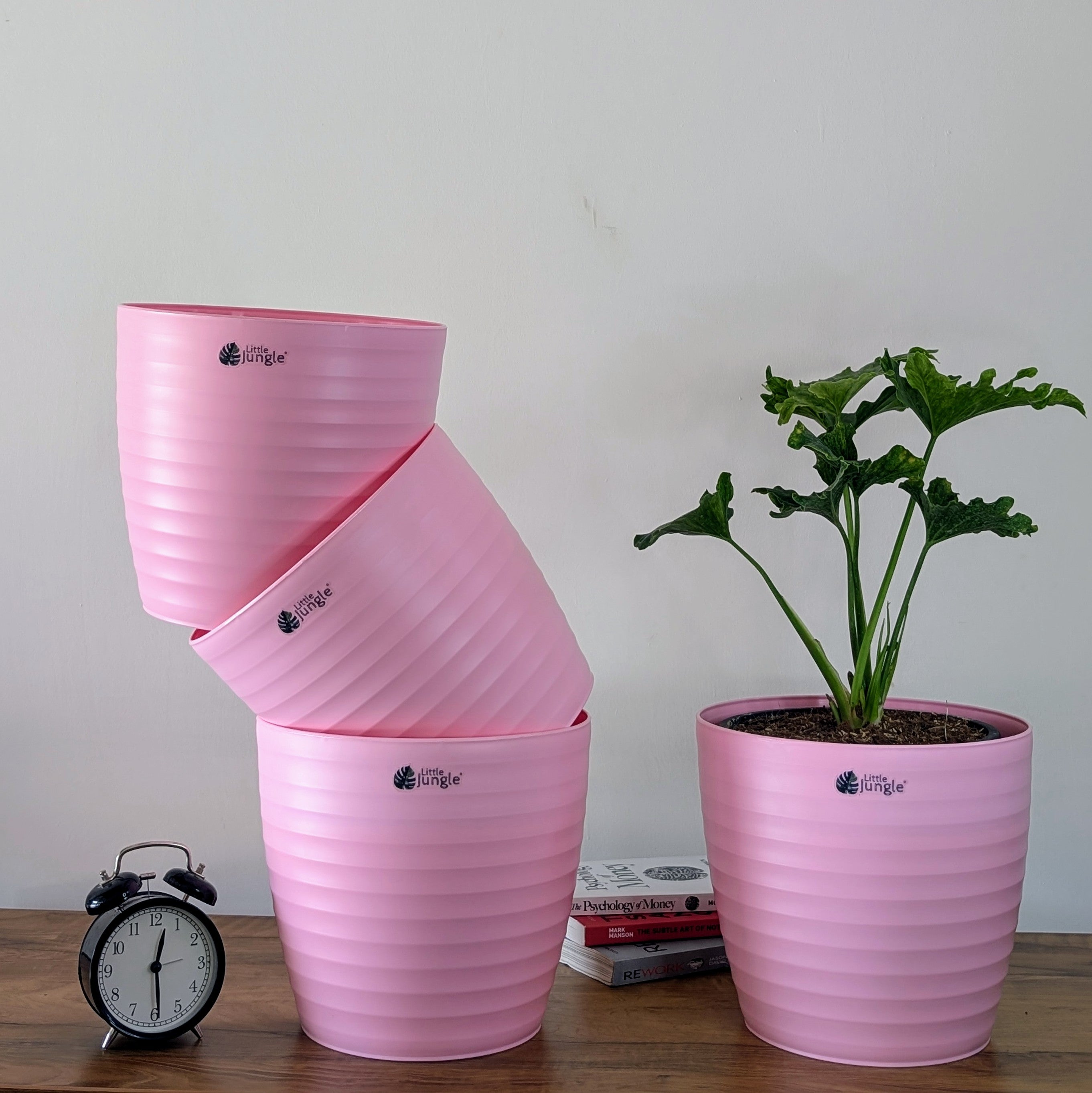 Decor 10 (Pack of 4)