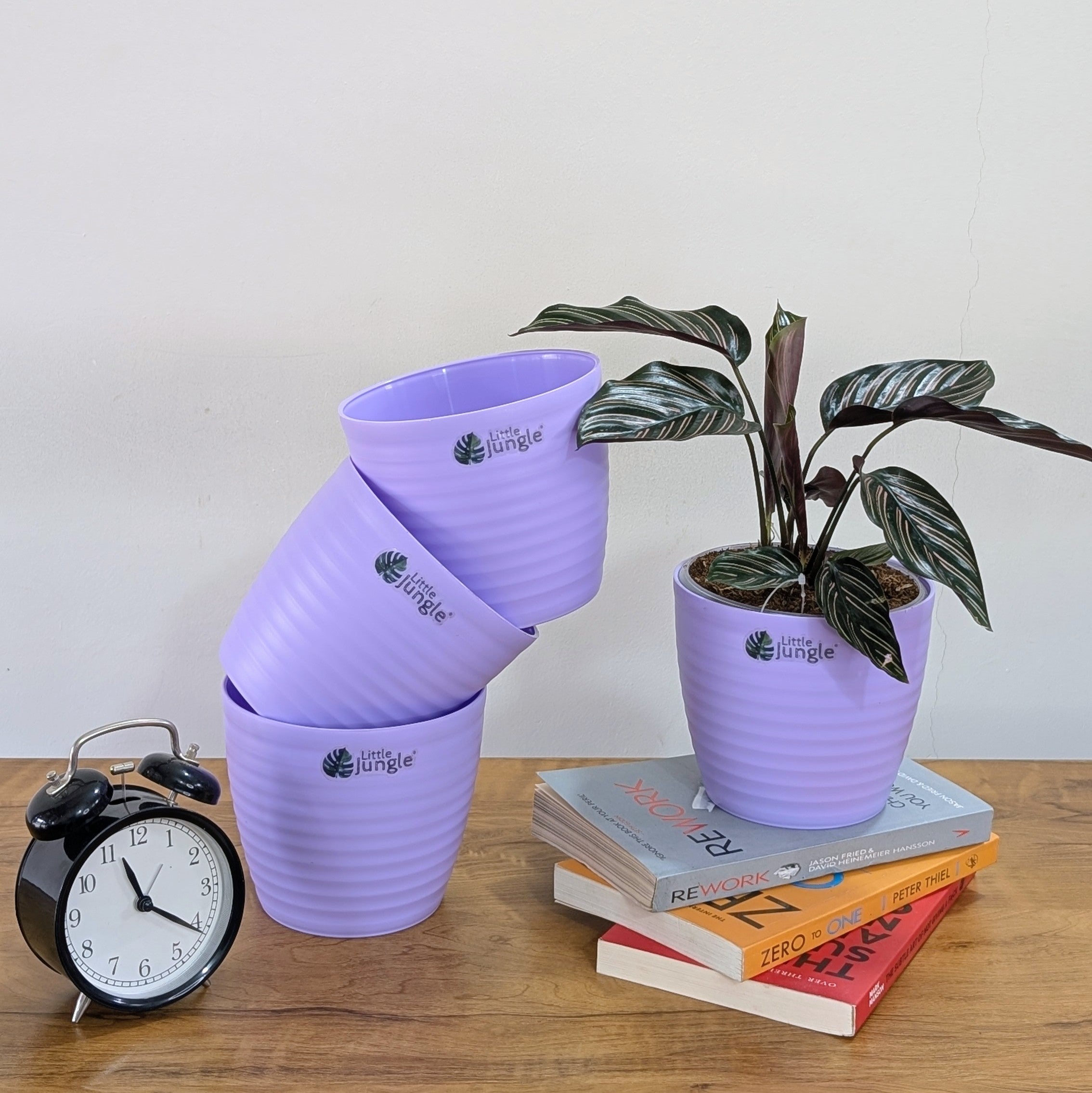 Littlejungle Decor Planters (Pack of 4) With out holes