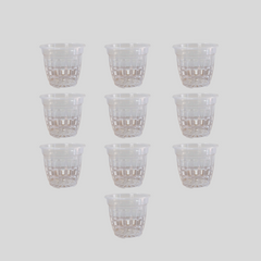 Clear Transparent & Nursery Pots For Growing ,Repotting , Water And Root Monitoring
