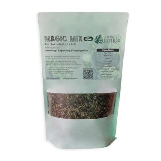 Magic Mix Aglaonemas & Diffenbachias