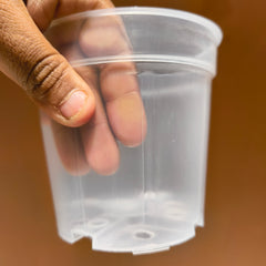 4.5 inches Transperant Pots ( Pack of 10)  For Root & Water Monitoring