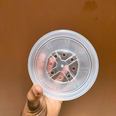 4.5 inches Transperant Pots ( Pack of 10)  For Root & Water Monitoring